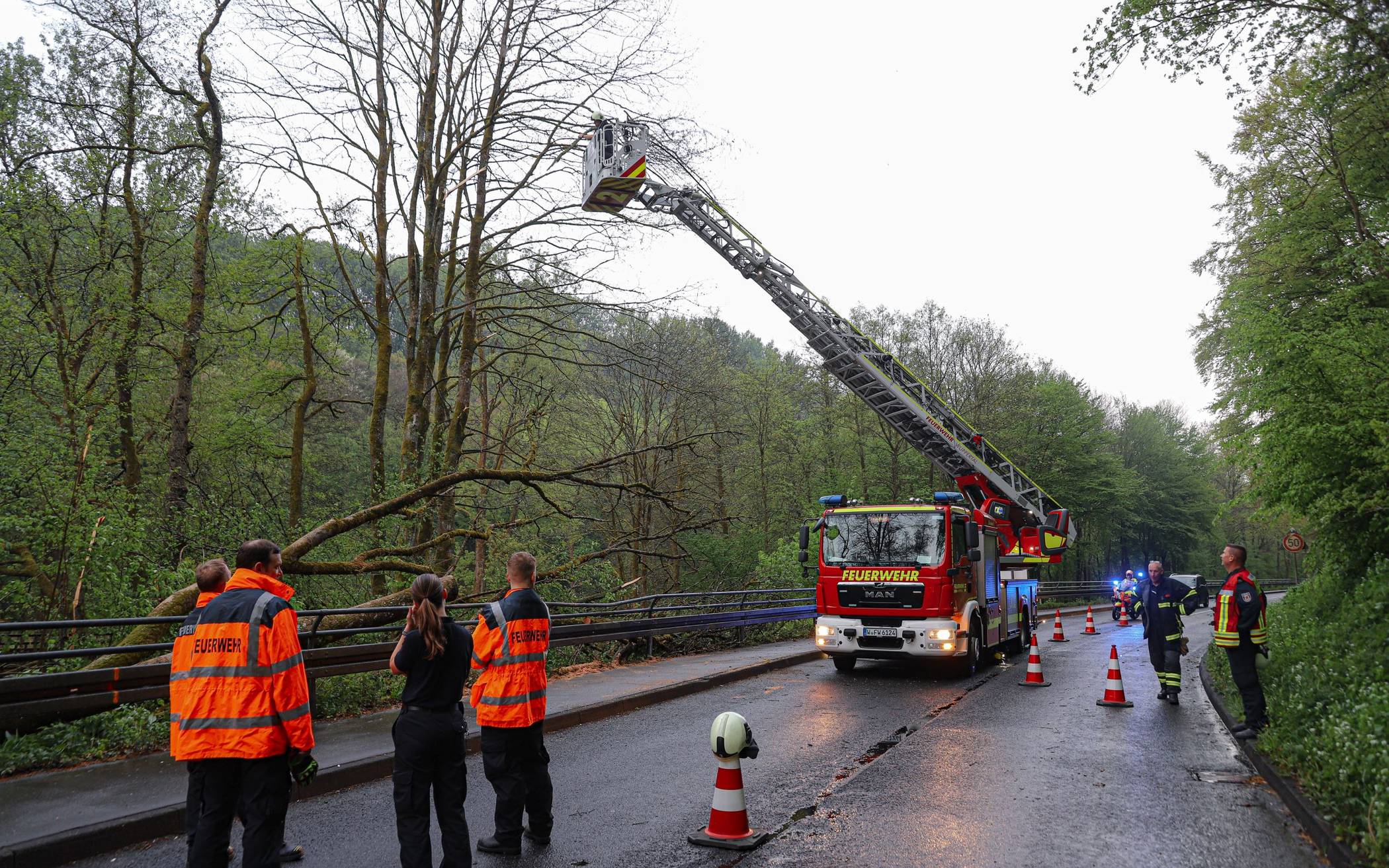 Wuppertaler Feuerwehr entfernt umgestürzten Baum​
